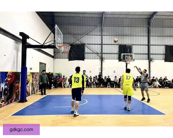 全面解析篮球联赛：球员、球队、战术、技术、规则及赛事管理等方方面面