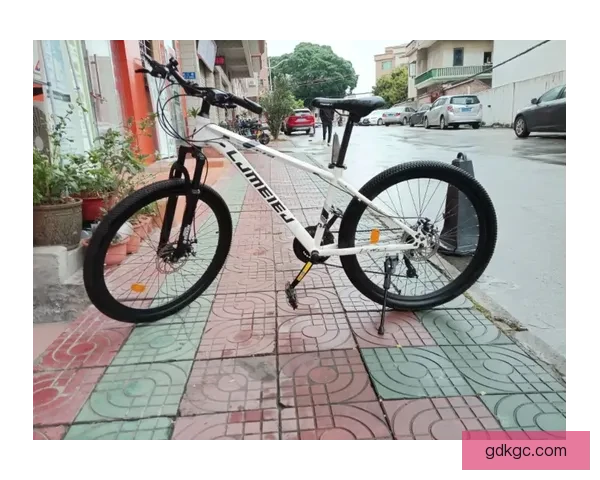 掌握山地车技巧，乐享骑行乐趣