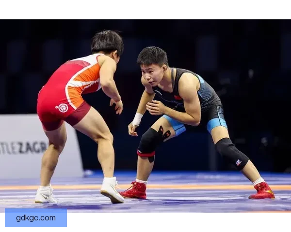 摔跤世界巅峰：挑战与荣耀